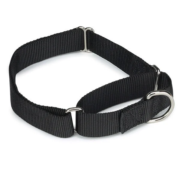 - Cat toy rankingsBlack Nylon Soft Martingale Training Dog Collar