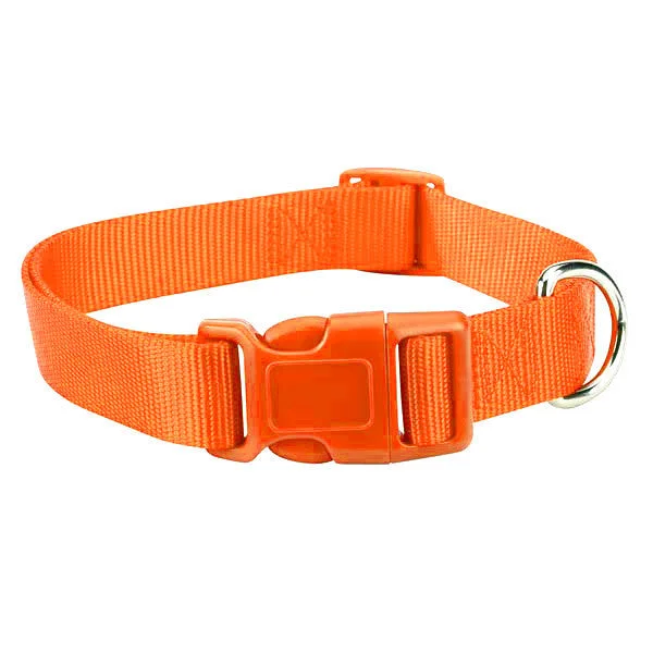 - Natural rubber pet toysOrange Fashion Nylon Adjustable Dog Collar