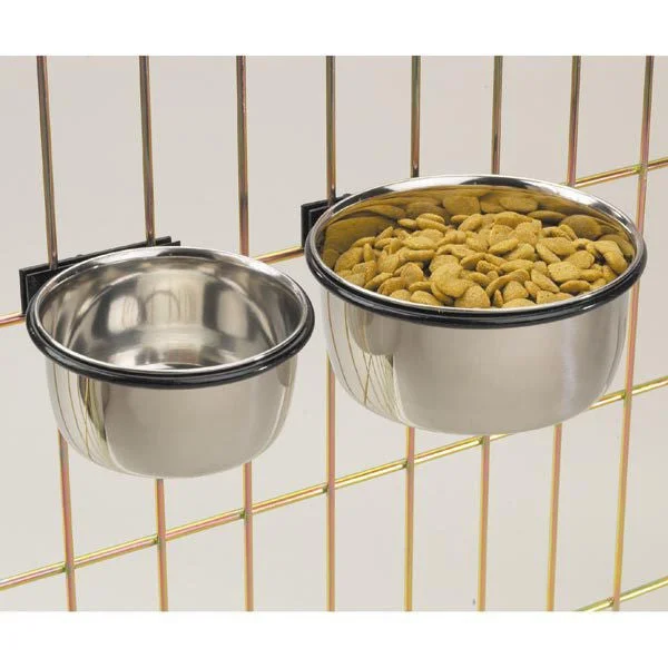 - Pet teething toy recommendationsStainless Steel Coop Cups