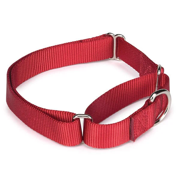 - Pet educational toy recommendationsRed Nylon Soft Martingale Training Dog Collar