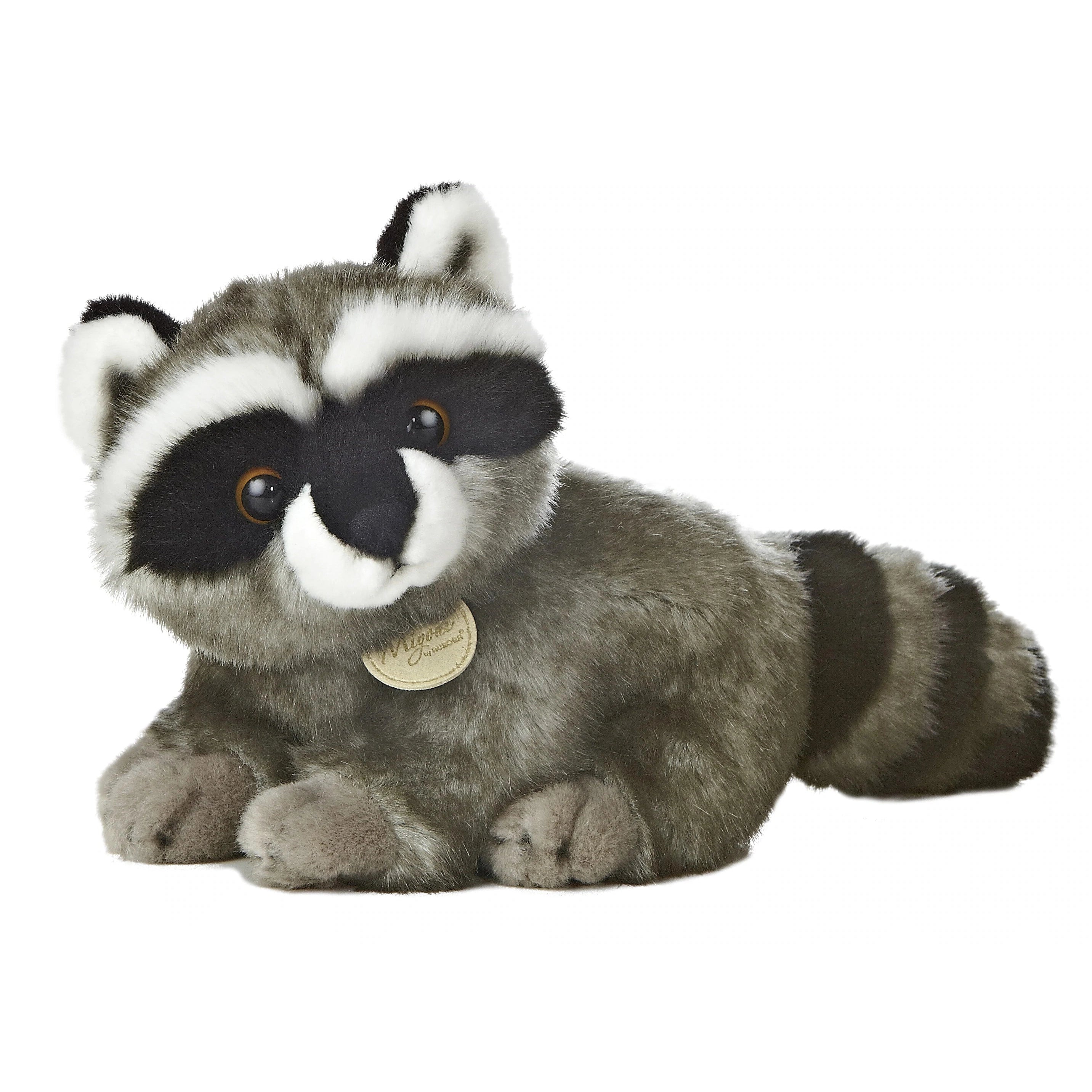 ---Aurora raccoon