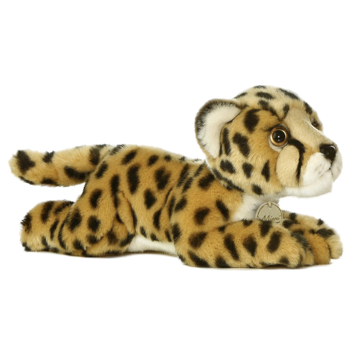 - Pet smart GPS locatorAurora cheetah