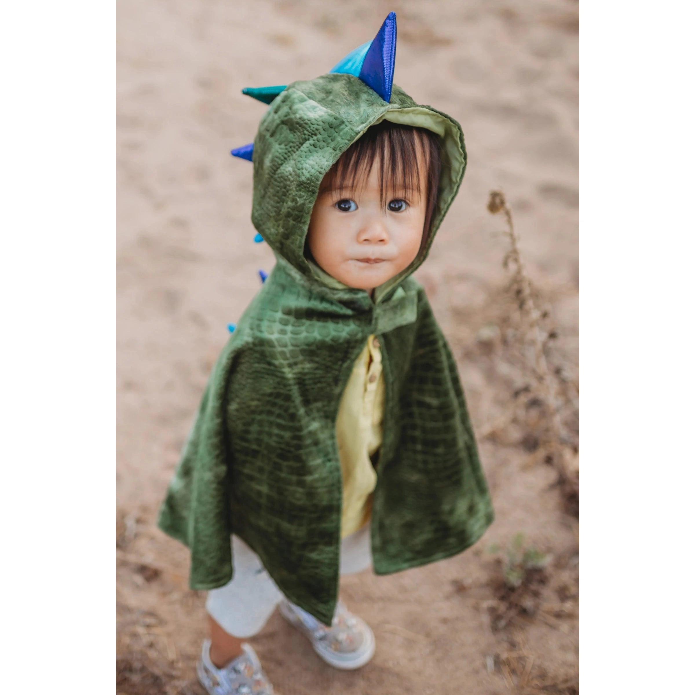 - Pet tear stain cleaning wipesdragon toddler cape green/blue size 2-3