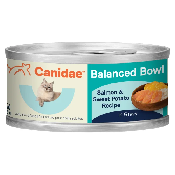 - Climbing pet constant temperature heating padCanidae Balance Bowl Salmon & Sweet Potato Recipe Cat 3 oz